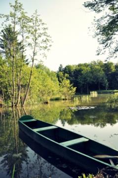 Knobleharjevo 2012 - Fotografski natečaj Občine Škocjan 2012 5